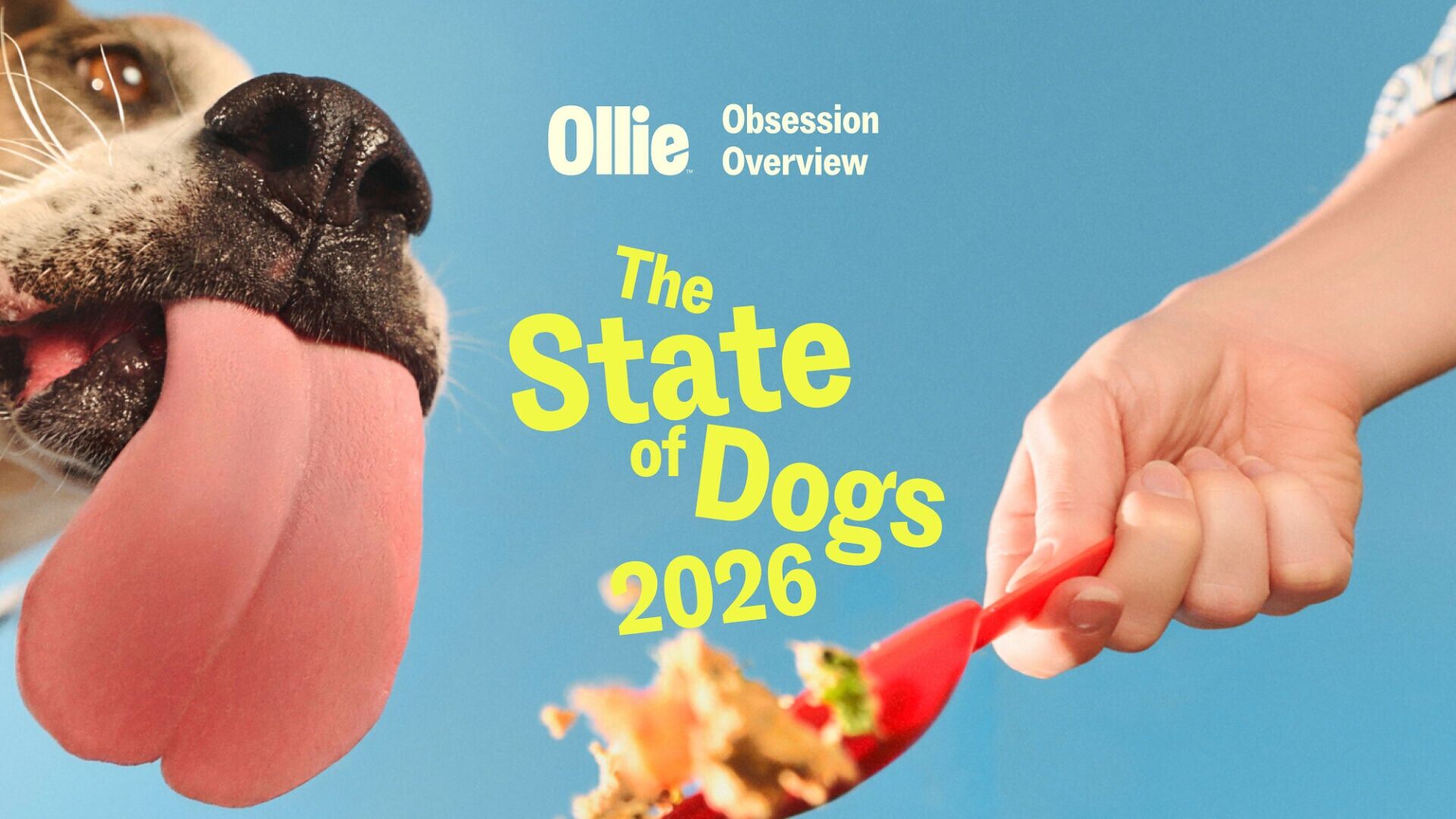Ollie’s Obsession Overview: The State of Dogs 2026, offering a look at the health of America's dogs and the people who obsess over them.