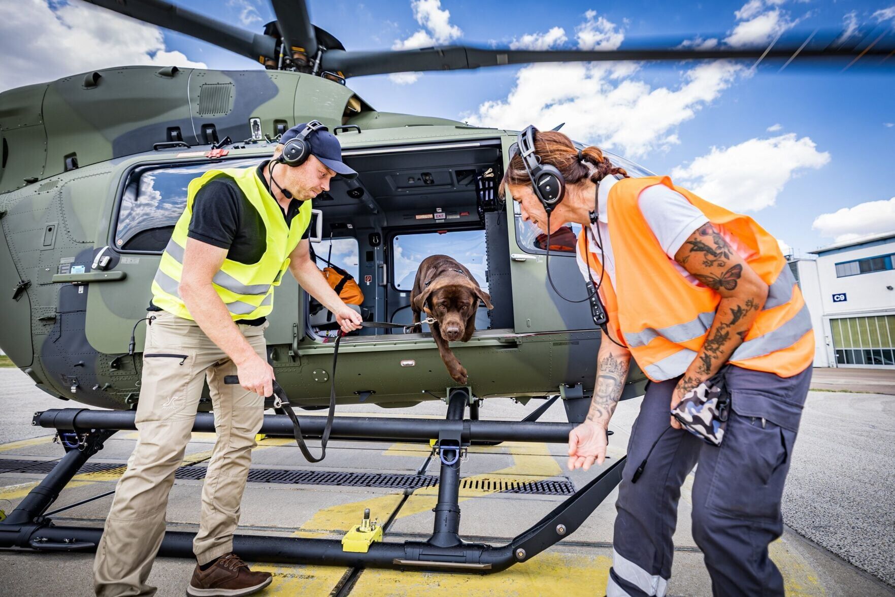 Rescue dogs overcome fear of helicopters during vital training
