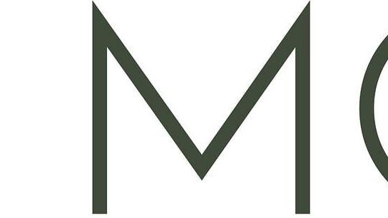 Two Moons logo
