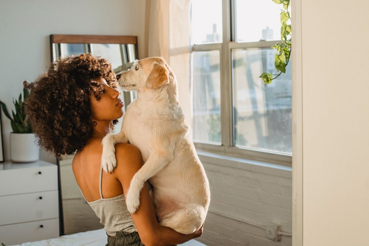 pexels-samson-katt-5255252