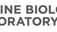 Since 1888, the MBL has hosted thousands of researchers, students and faculty from all over the world. It is precisely this wealth in perspectives and experiences that makes our community unique. For this reason, the lab strives to maintain a welcoming ...