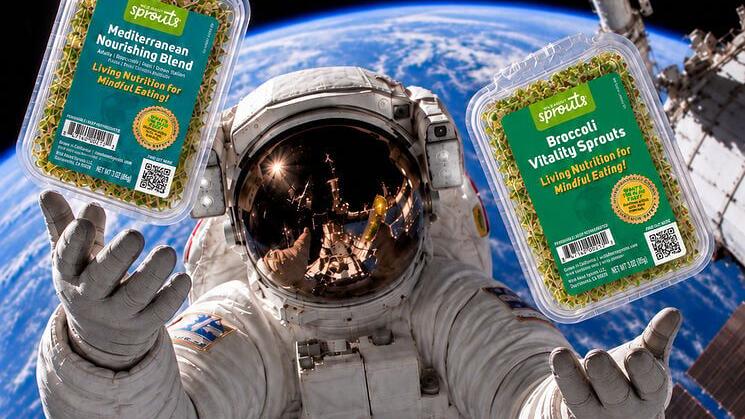 Wild About Sprouts is delivering out-of-this-world results, with 24% year-over-year growth in August and 15% growth year-to-date.