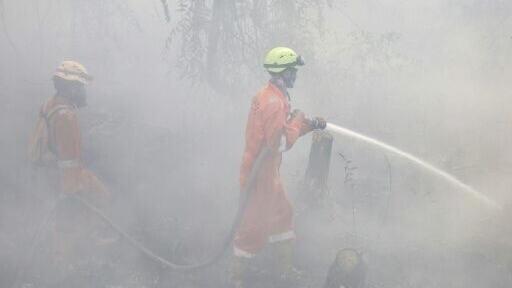 Indonesia has deployed 54,000 personnel to fight to blazes raging on Borneo and Sumatra islands