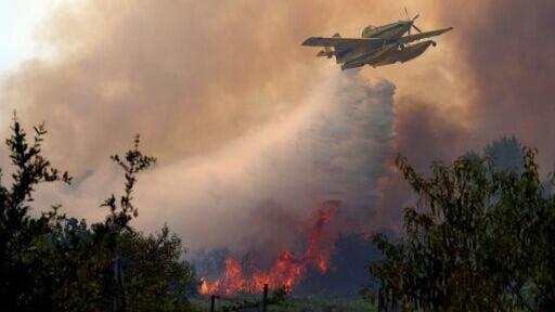 The relentless heat and scarce rainfall created ideal conditions for wildfires that scarred swathes of Spain