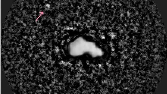 Asteroid (44) Nysa observed with the SHARK-VIS instrument of the Large Binocular Telescope on 2026-02-15 UTC. The asteroid's tiny moon, S/2026 (44) 1 is marked with a pink arrow