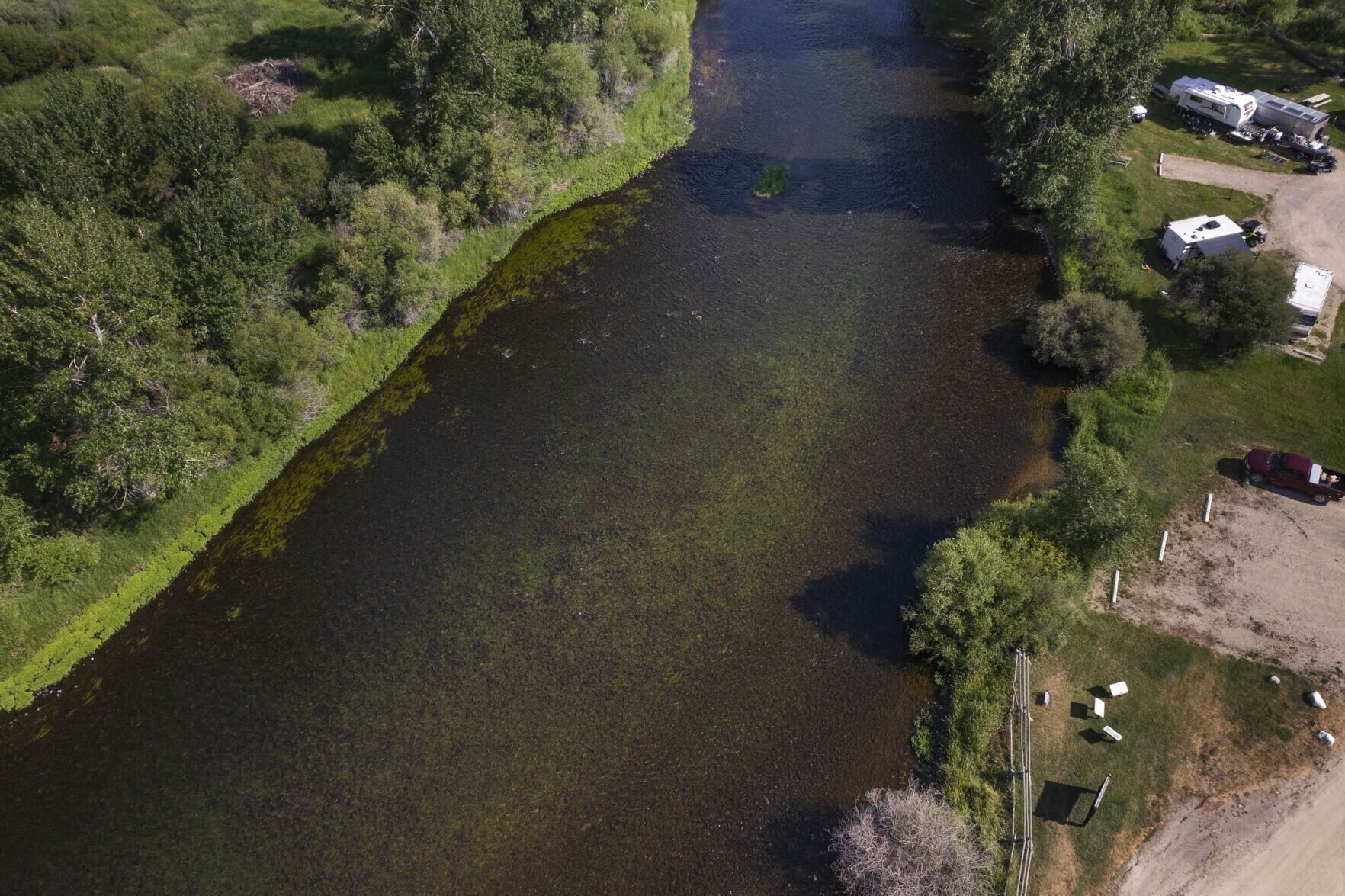 Big Hole Algae