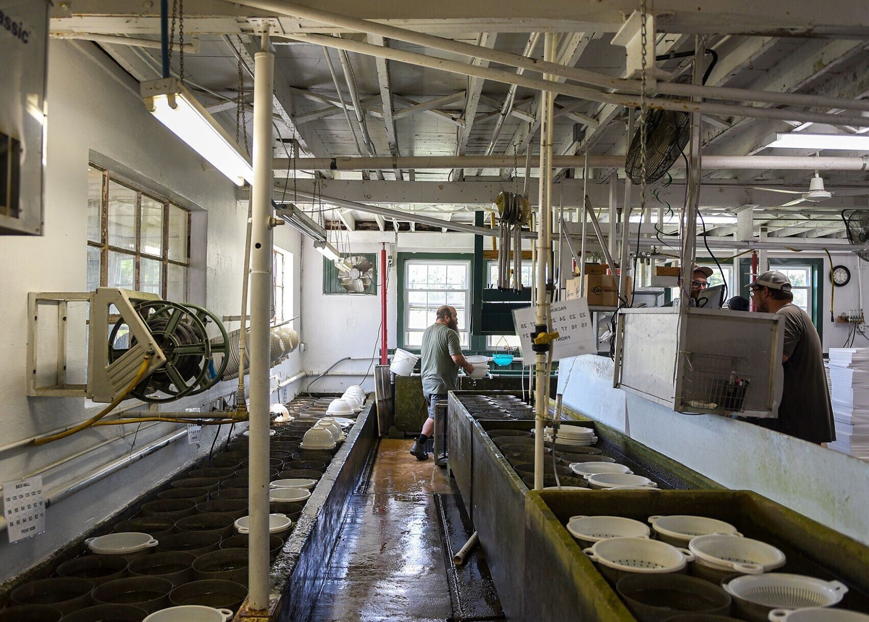 Dwaine Yoder transports a bucket of fish to be packaged for shipping