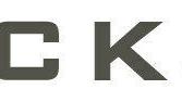 Packsize logo (PRNewsfoto/Packsize)