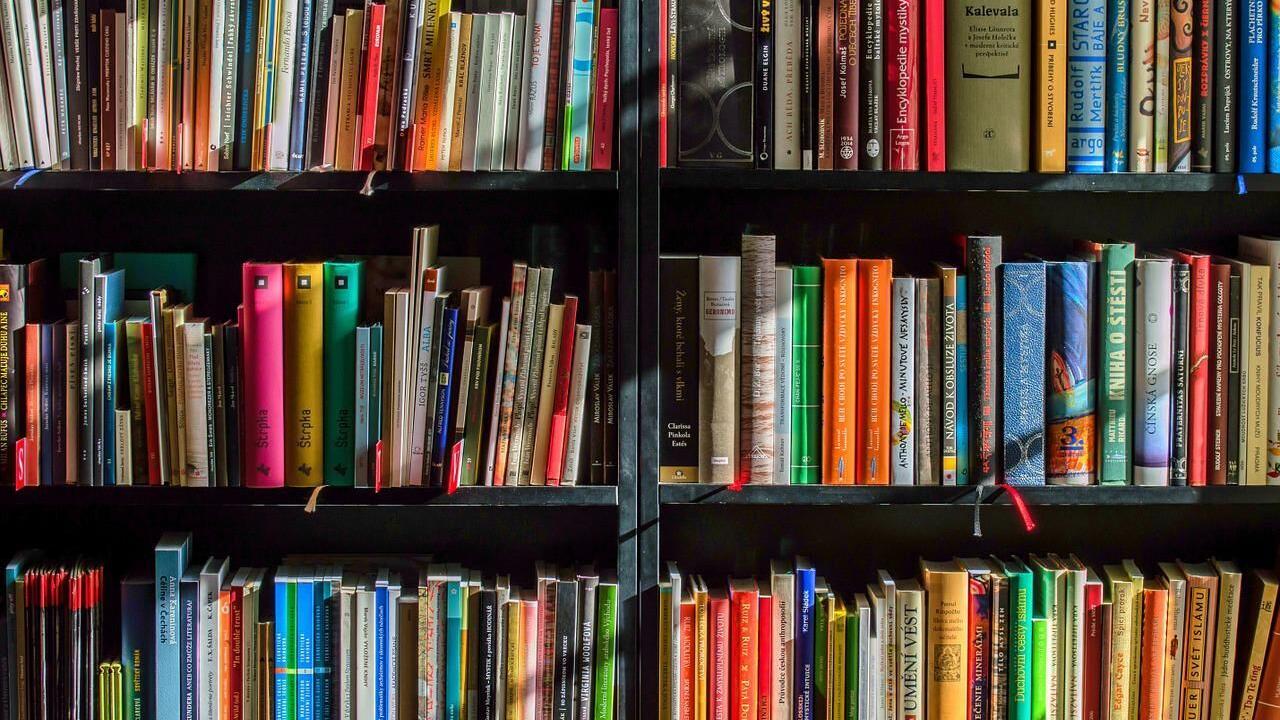 Suspendisse non pretium odio