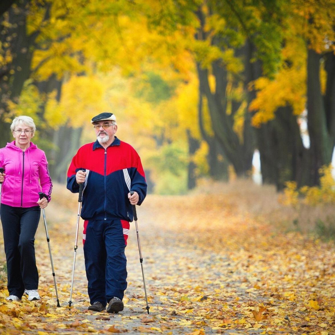 Gdzie uprawiać nordic walking w okolicy Głogowa